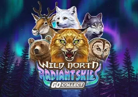 Wild North Radiant Skies GO Collect game thumbnail